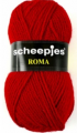 roma 1506